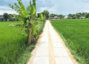 Petani Bojonegoro Dapat Akses Baru, 27.500 Meter JUT Dibangun