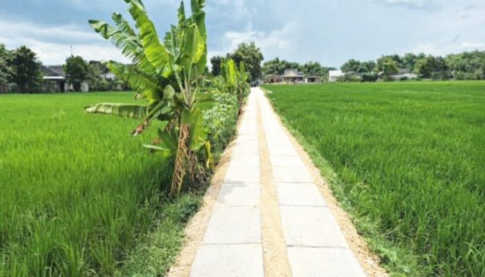 Petani Bojonegoro Dapat Akses Baru, 27.500 Meter JUT Dibangun