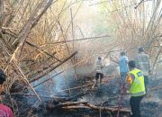 Dua Kebakaran di Lamongan Beruntun, Satu Sapi Berhasil Diselamatkan