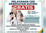 Gratis, Kucing di Bojonegoro Bisa Cek Kesehatan di Klinik Ini