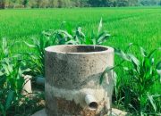 Petani Lengkong Bojonegoro Tak Lagi Takut Kemarau, Sumur Bor Jadi Kunci