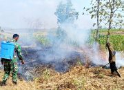 Lahan Bekas Tebu Terbakar di Lamongan, Petugas Bergerak Cepat