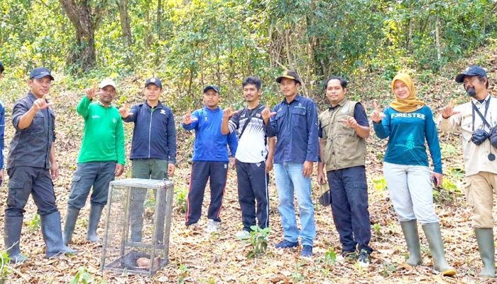 Warga Bojonegoro Temukan Trenggiling di Tepi Jalan, Begini Akhirnya