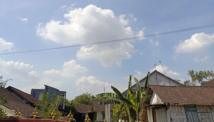 Panas Menyengat, Bojonegoro Diprediksi 36 Derajat Siang Ini
