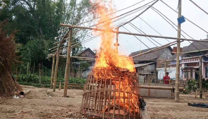 Polisi Malang Temukan Jejak Arena Sabung Ayam, Langsung Dimusnahkan