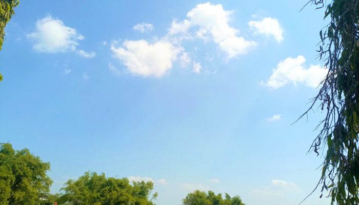 Cuaca Bojonegoro Hari Ini 7 Oktober: Siang Tembus 36 Derajat