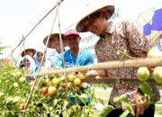 Bupati Wahono Bidik Bojonegoro Jadi Lumbung Pangan