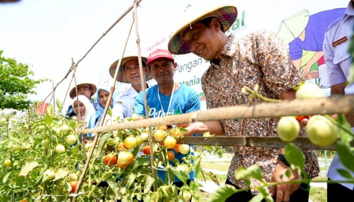 Bupati Wahono Bidik Bojonegoro Jadi Lumbung Pangan