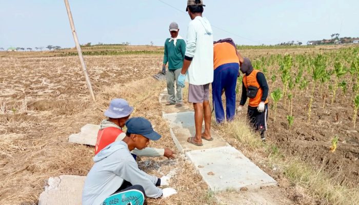 Sempat Disorot Petani karena Amburadul, Jalan Tani Desa Duwel Bojonegoro Akhirnya Diperbaiki