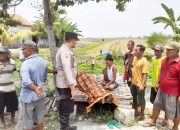 Pulang Cari Rumput, Pria 70 Tahun di Lamongan Meninggal di Pinggir Jalan