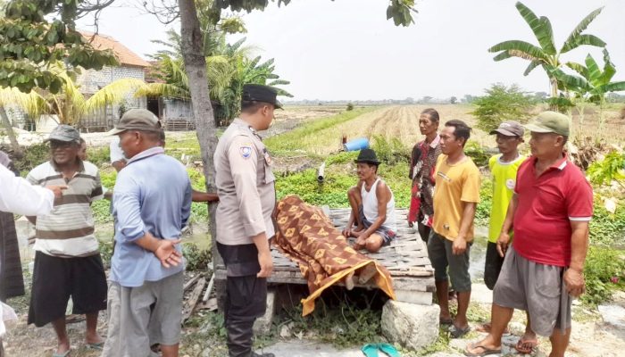 Pulang Cari Rumput, Pria 70 Tahun di Lamongan Meninggal di Pinggir Jalan
