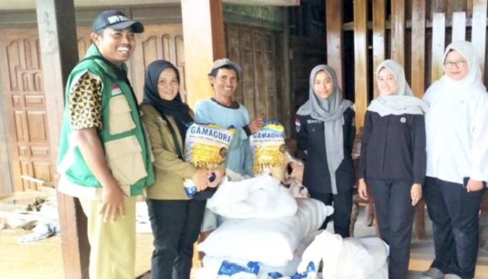 Hingga Oktober 2026, Bantuan Benih Padi Bojonegoro Tembus 589,8 Ton