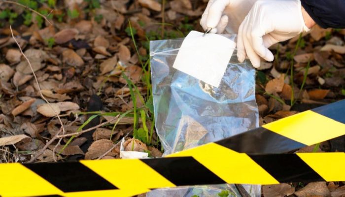 36 Orang Terjaring Operasi Narkoba di Sumut, 28 Akan Direhabilitasi