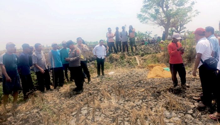 Geger, Lansia 80 Tahun Ditemukan Meninggal di Persawahan Pucuk Lamongan