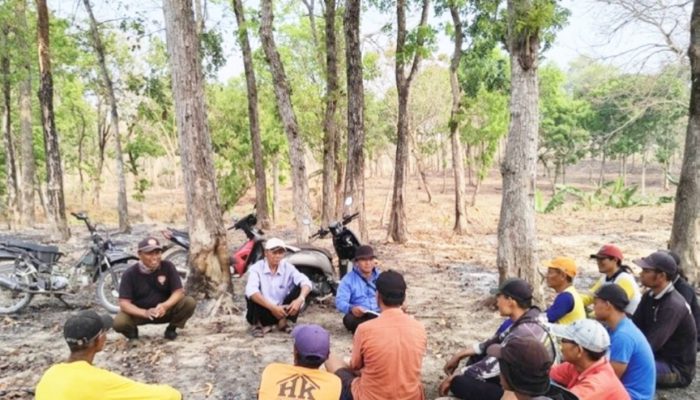 Perhutani Temayang Bojonegoro Ingatkan Pesanggem, Buka Garapan Baru Tanpa Izin Dilarang