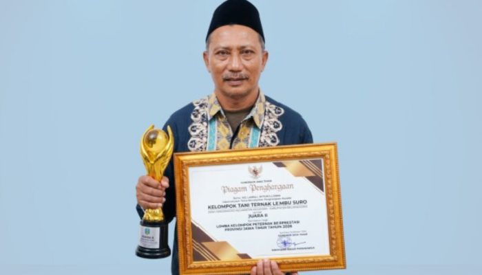 Kisah Lembu Suro Bojonegoro, dari 4 Sapi hingga Raih Juara II Jatim 2026