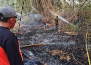 Kebakaran Bambu Hanguskan 0,4 Hektare di Lamongan, Api Gagal Merambat ke Rumah Warga