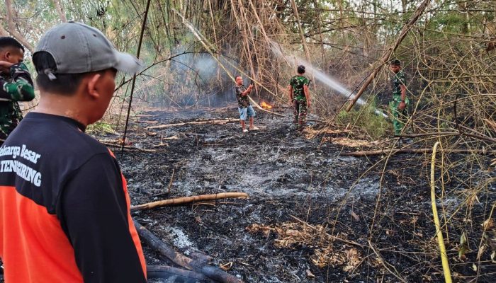 Kebakaran Bambu Hanguskan 0,4 Hektare di Lamongan, Api Gagal Merambat ke Rumah Warga