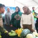 Gutanbo Fest 2026 Buka Peluang Pasar, Petani Bojonegoro Bidik Buyer Besar