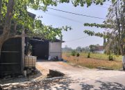 Dikerubungi Lalat Saat Panen, Warga Sambongrejo Minta DLH dan Dinas Peternakan Bojonegoro Turun Tangan