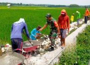 Dukung Ketahanan Pangan, Babinsa dan Warga Bluluk Lamongan Bangun Jalan Tani