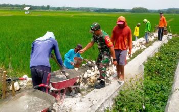 Dukung Ketahanan Pangan, Babinsa dan Warga Bluluk Lamongan Bangun Jalan Tani