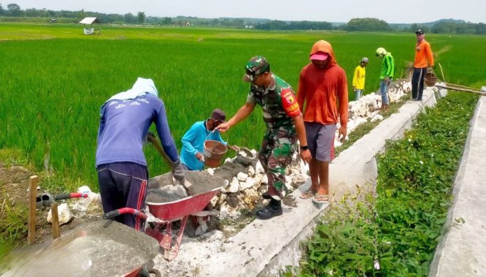 Dukung Ketahanan Pangan, Babinsa dan Warga Bluluk Lamongan Bangun Jalan Tani