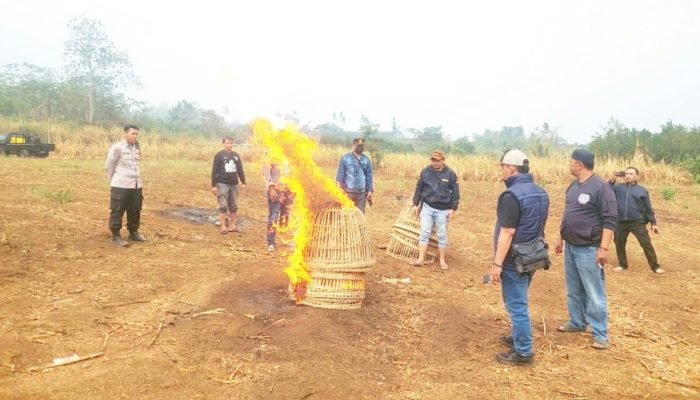 Diduga Jadi Arena Sabung Ayam, Lokasi di Karangploso Malang Dibongkar