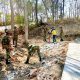 Bojonegoro Targetkan 500 Pohon, TNI dan DLH Kompak Hijaukan Daerah