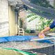 Modal Dua Kolam dari Pemkab Bojonegoro, Khoiri Sukses Kembangkan Usaha Lele